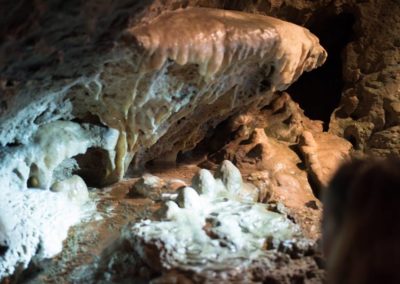 Grottes de Neptune Bénitier