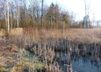 a Tourbière de Cul-des-Sarts