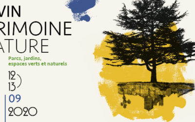 Circuit des arbres remarquables