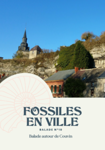 Fossiles en ville