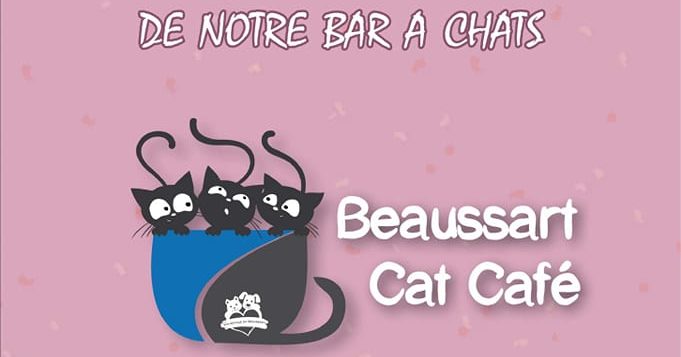 Cat Café Beaussart