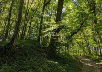 Tour du Parc National de l&rsquo;Entre-Sambre-et-Meuse