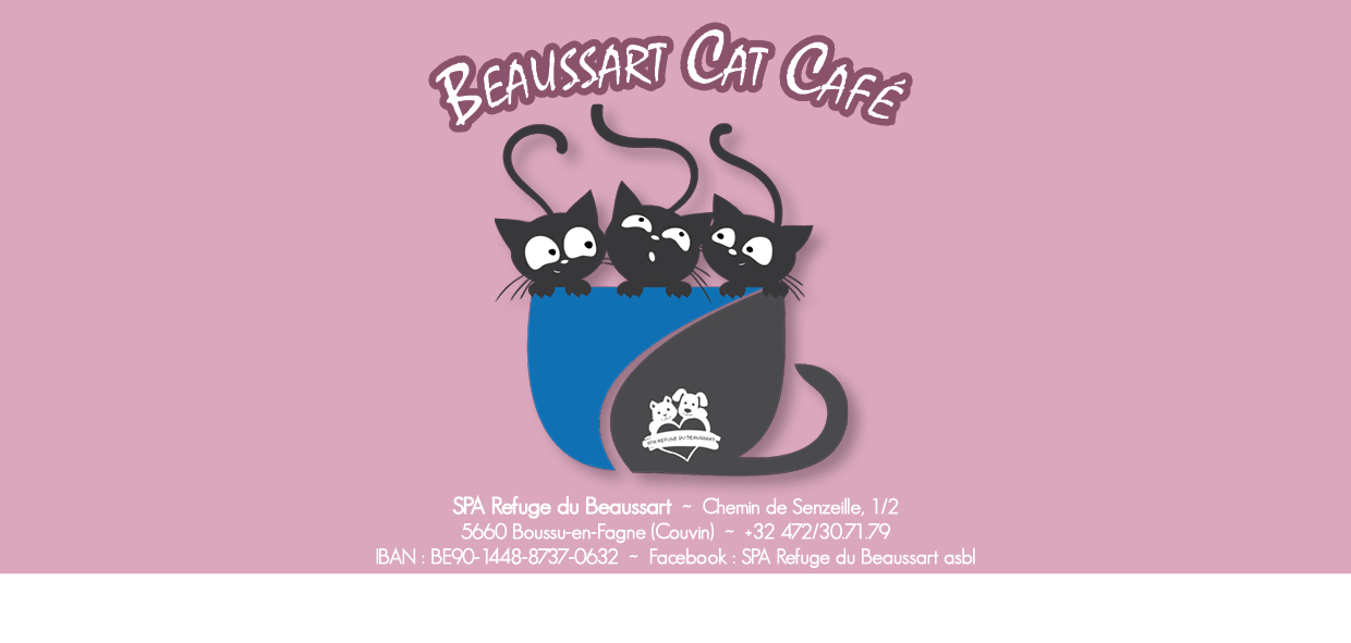 Beaussart Cat Café