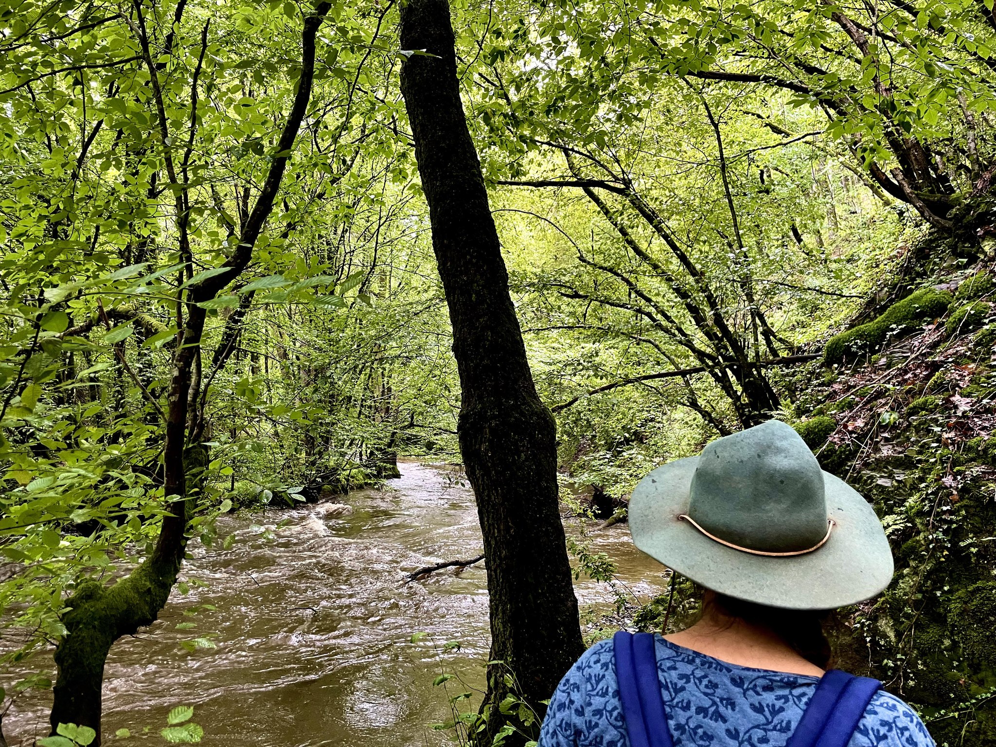La Butte de Pesche et la vallée de l’Eau Noire